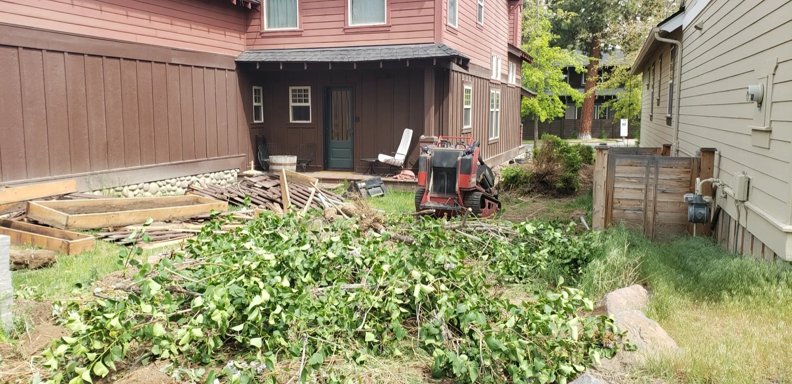 Overgrown backyard with debris