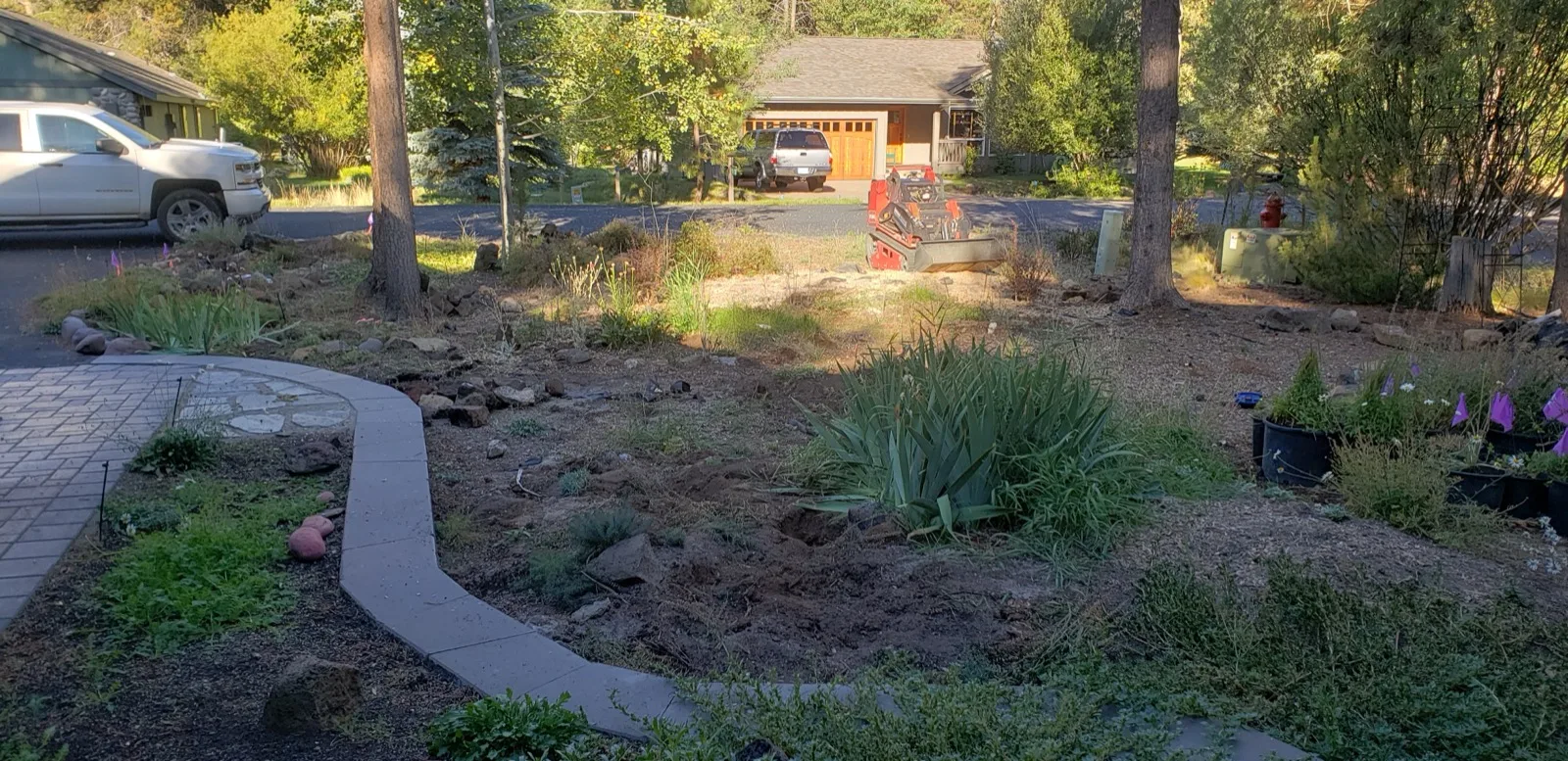 Weedy front yard before renovation